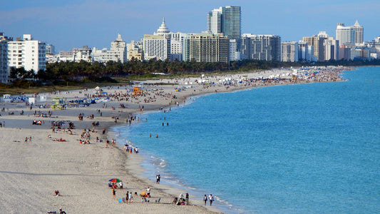 Why Florida and Tropical States Need Jellyfish Sting Cream